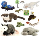 Everglades Themed Toys