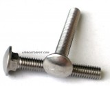 SS Carriage Bolts