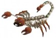 WILD REPUBLIC Nuts & Bolts™ Scorpion 237 Pieces, Construction Set, Wrench & Screwdriver Included, Create Your Own Animal, Each