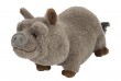 CK MINI CUDDLEKINS 8" Pot Bellied Pig Stuffed Animal, Each