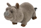 CK MINI CUDDLEKINS 8" Pot Bellied Pig Stuffed Animal, Each
